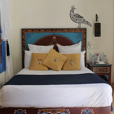 Riad Nafis-3