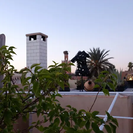 Riad Nafis-3